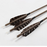 Чистого углерода настоящие перья стрела поддерживают агарвуд деревянный зерна