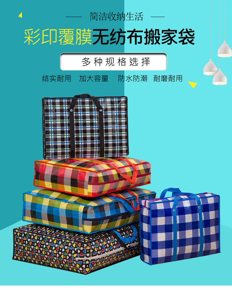 搬家袋 (1).jpg