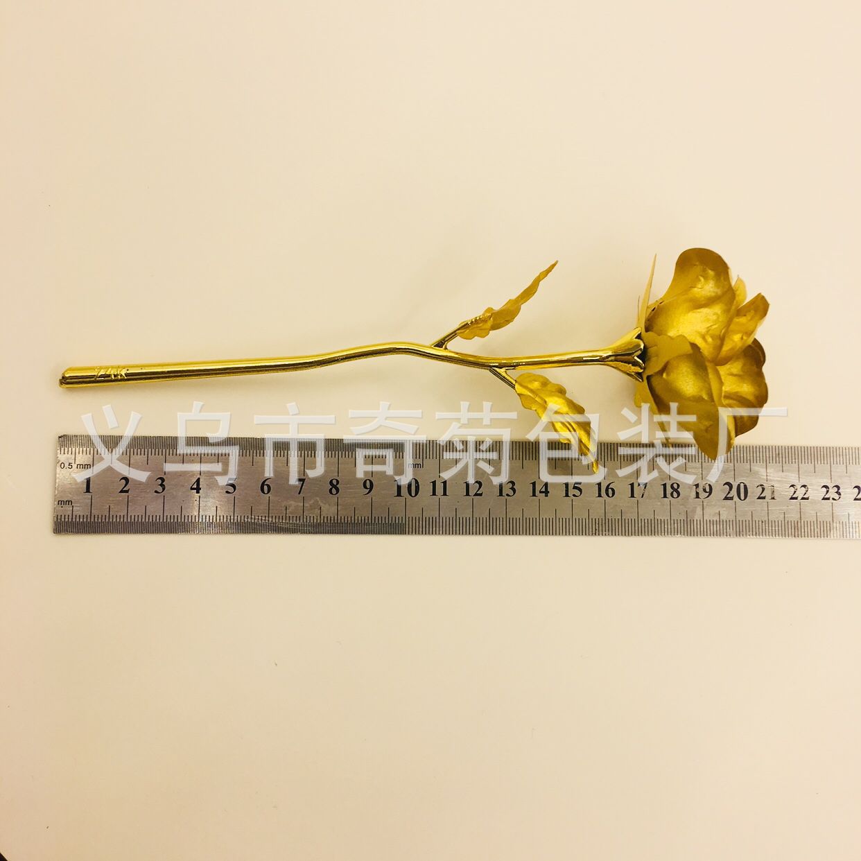 469DCD754F485944A7E16A47B6D570