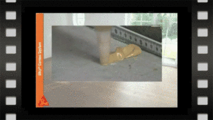 ����Sika�o�܄��͏ͺϵذ匍ľ�ذ受��ľ�ذ��z54��600ML/֧