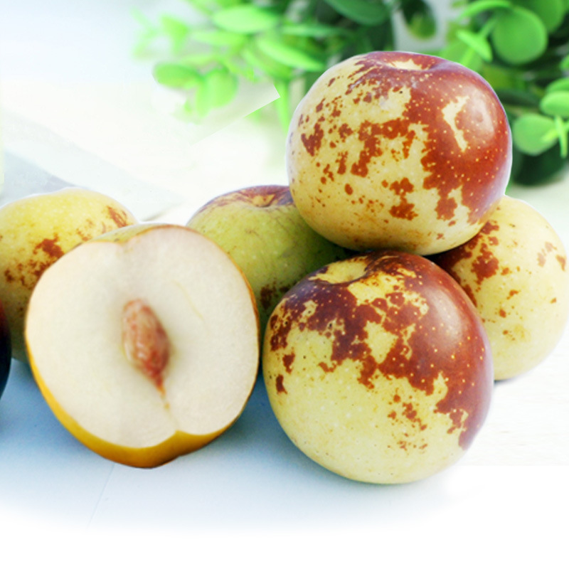 大荔冬枣新鲜水果陕西特产枣子酥脆甜现摘现发5斤一件代发包邮