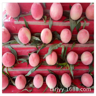 ����ֱ�N ��Ʒ�N���� ��ɏ��ˮ���� ��������һ̖��̖��̖��̖