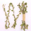 Mori Tie Two -oriented Color Tope Handmade DIY Materials Leaf Vine Rope Decoration Wall Handmade Weaving Creative