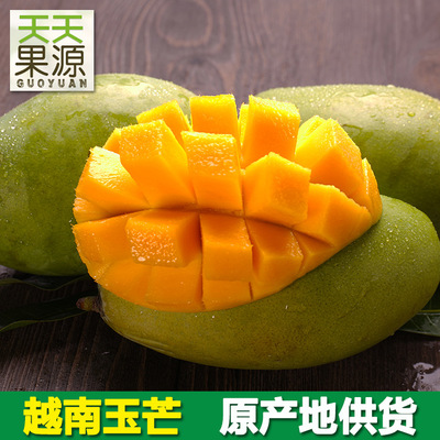 产地货源 越南玉芒5斤香芒青皮芒果新鲜水果一件代发非金煌芒凯特|ms