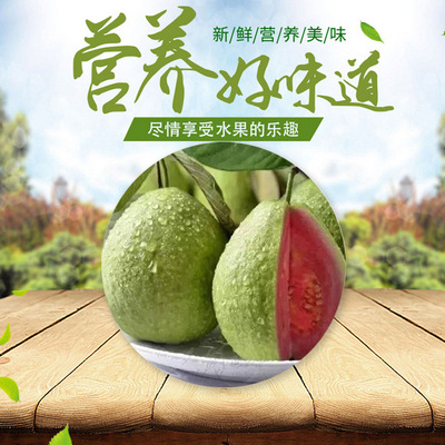 台灣 廣西紅心芭樂番石榴5斤裝新鮮當季水果潘芭樂胭脂紅