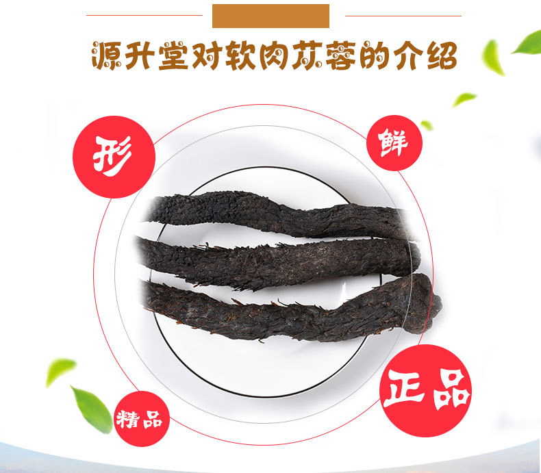 Rou Cong Rong Slices (Cistanche deserticola) — Soft Sweet Food-Herb from Inner Mongolia key features