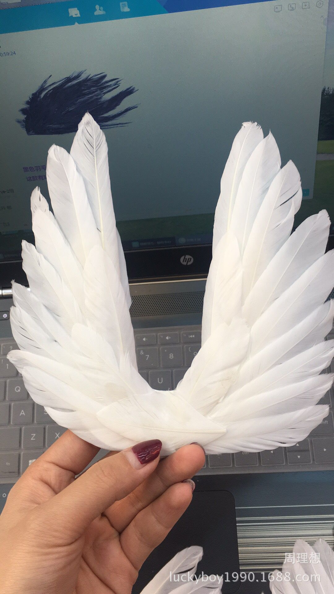 9D6642E17E395FA43950E96F9A7EC5