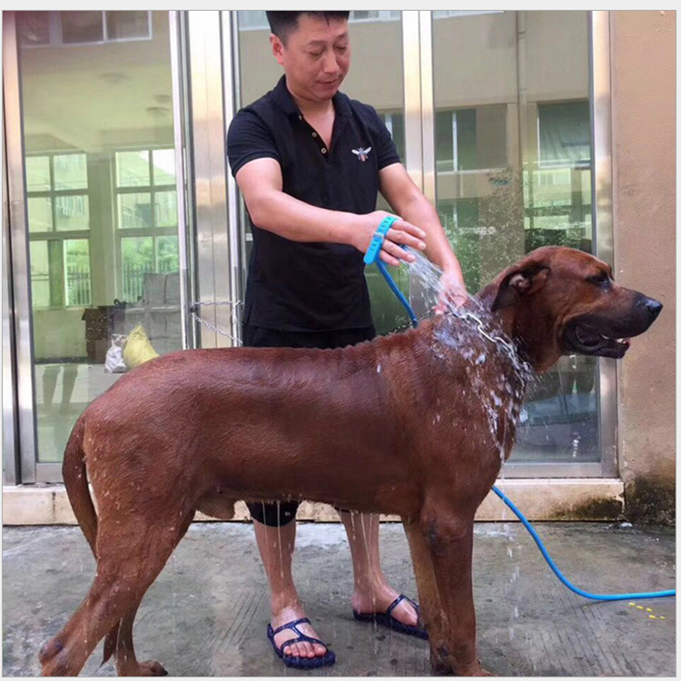 QQ图片20180102134507