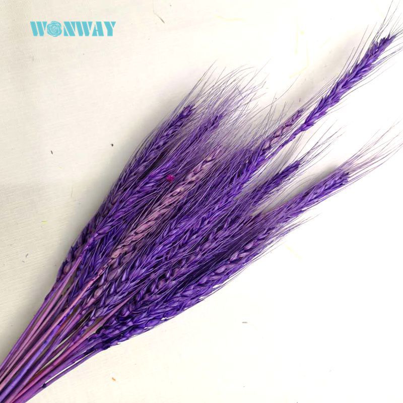 微信图片_20180707140425