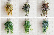 �ڒ����Gֲ�ٗl����ֲ����@�f���ࡢ�G�}�~���ع��~�����~