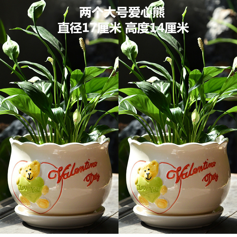 爱心熊_副本.jpg