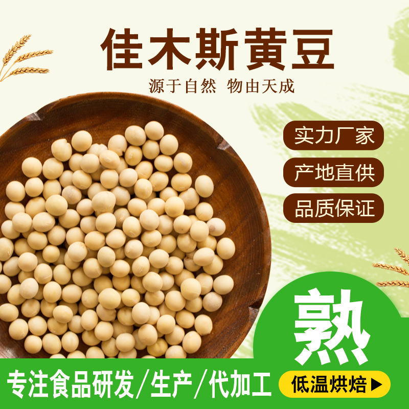 低温烘焙熟黄豆熟大豆五谷杂粮磨粉豆浆原 厂家直销代工贴牌500|ms