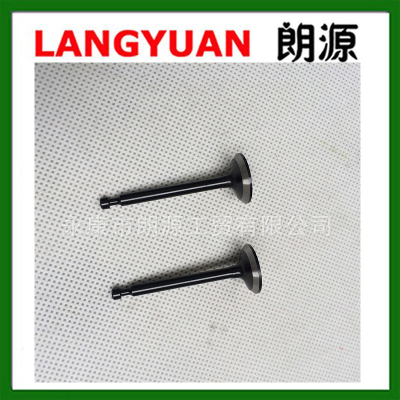 厂家供应，四冲程139割草机气门(二个）割灌机绿篱机草坪机打草机