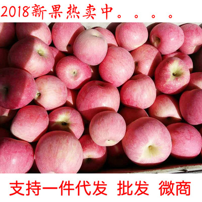 2018新果现货烟台应季红富士苹果新鲜水果当季栖霞苹果5斤脆甜|ms