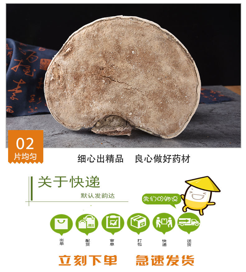 White Lingzhi (Ganoderma lucidum) — Dried Reishi Mushroom from Changbai Mountain, 500g quality and texture