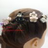 Fresh sophisticated hairgrip with pigtail, Korean style