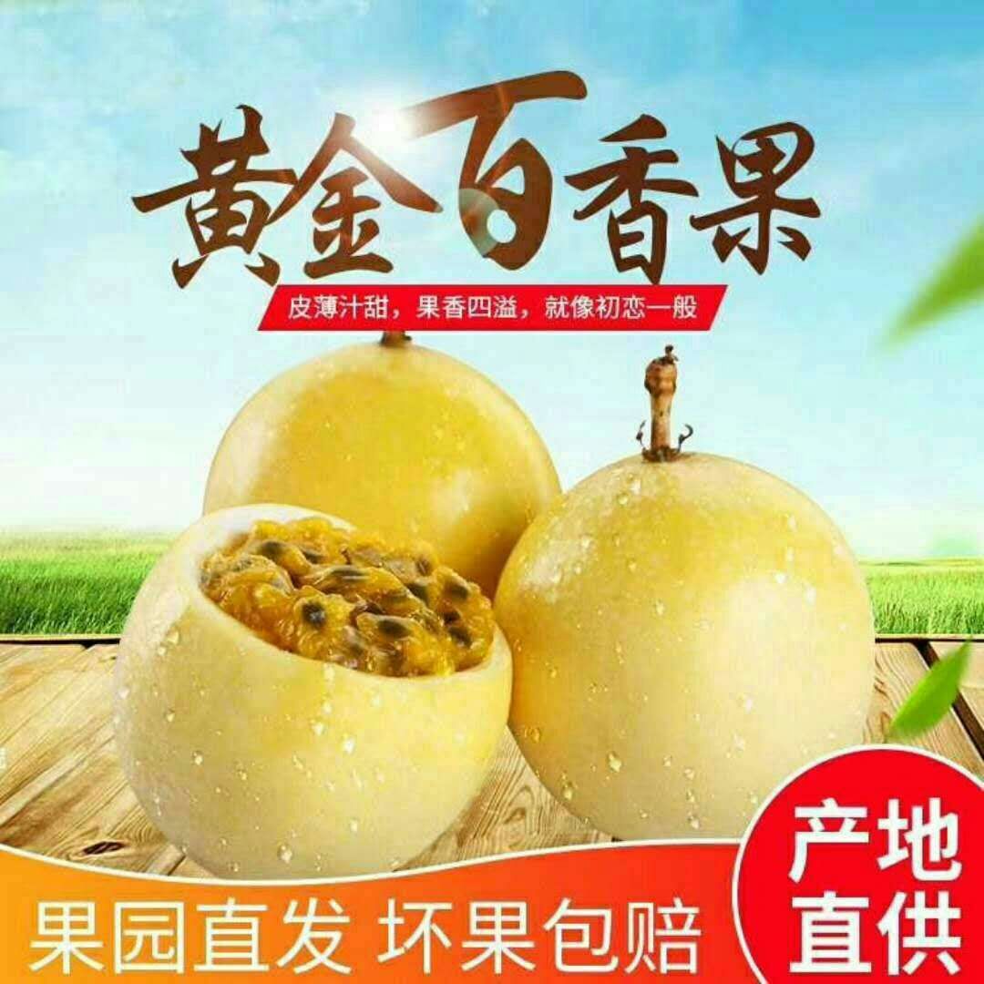 E2219687023C2B717251674DBC2C43