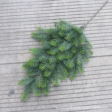 ��Ʒɼ���~����t��ɼ�~�G���@���b��~��ˮɼ���~�쾰�b�Ʒ���l