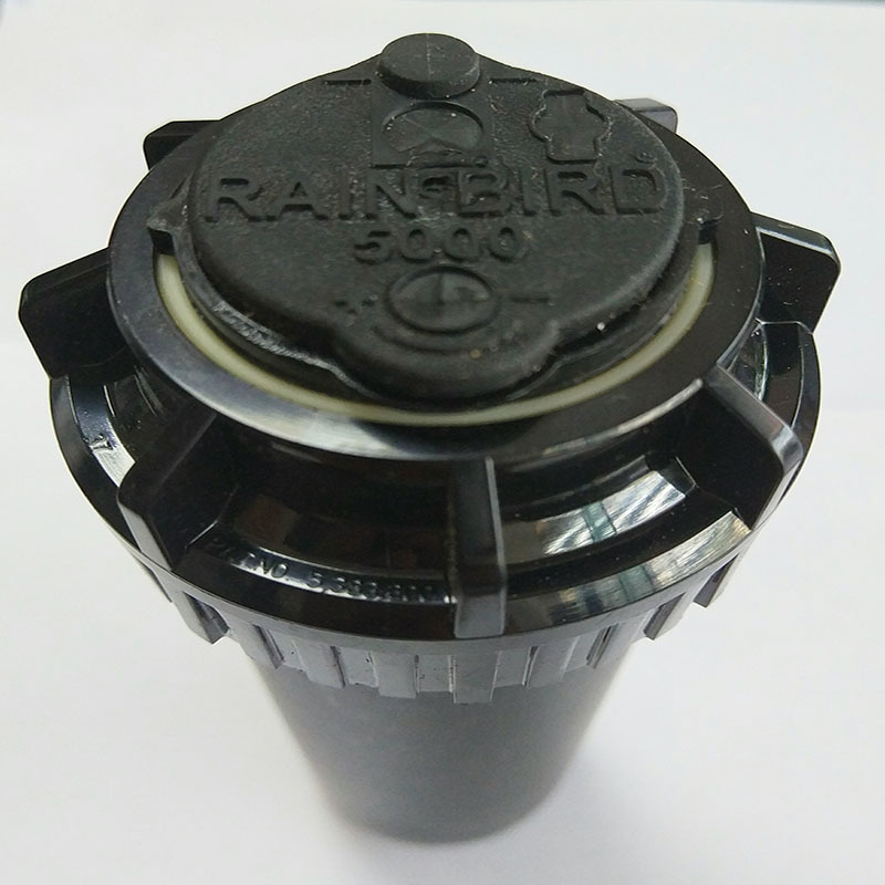 315344827658414691_1