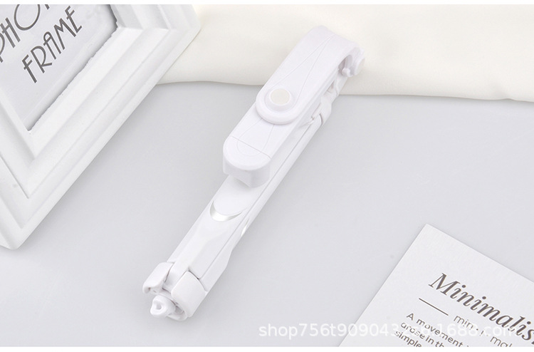 Bâton selfie en Acier inoxydable - Ref 3385958 Image 39