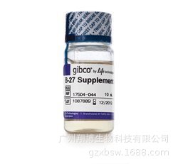 B-27 Supplement (50X), serum free 10ml 货号：17504044