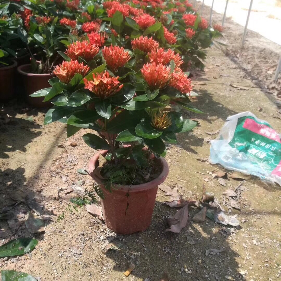 IMG_2692(20180429-105101)