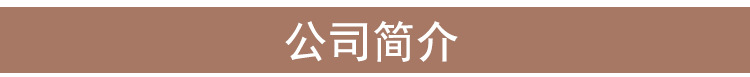 公司简介_04