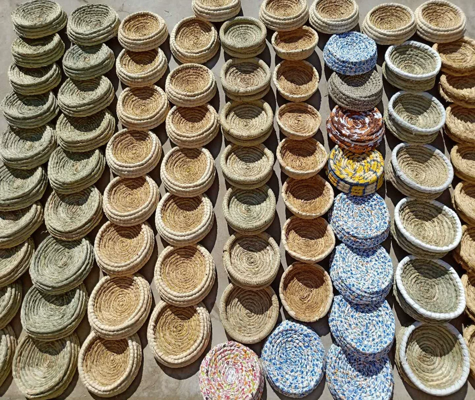 Заводская голубиная гнездо Xinpu Bird, гнездо птенцов, яйцо Wo Cao Cao Cao Bida Rabbit Nest Птицы