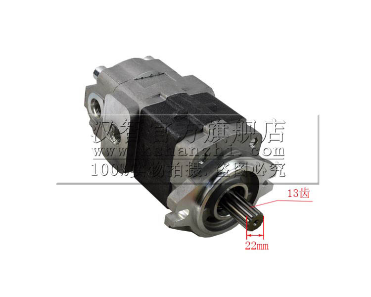 齿轮泵（副厂）TCMZ8比6BG1小