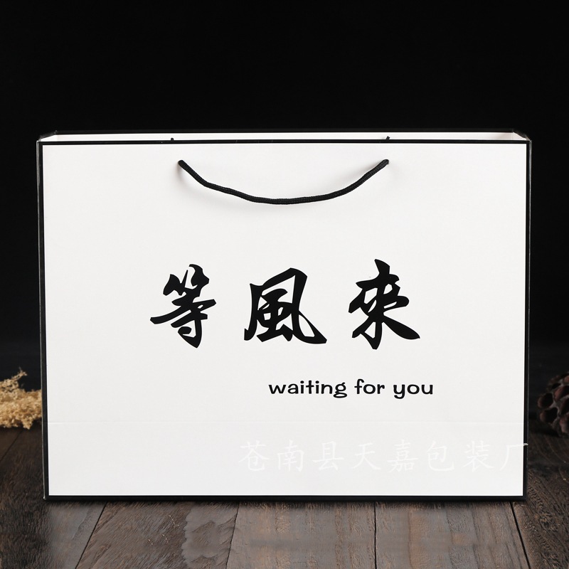 廠家直銷白卡紙手提袋 創意高檔禮品廣告商場購物服裝袋定制logo
