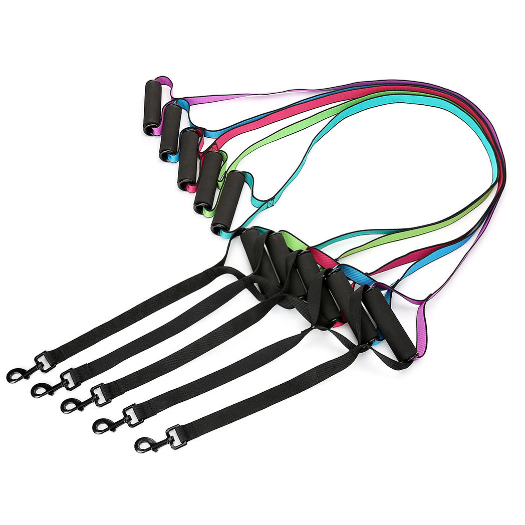 Dog Leash Image 1