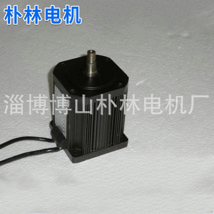 厂家生产新品高精度无刷直流电动机 直流涡轮减速电机100WS40-300