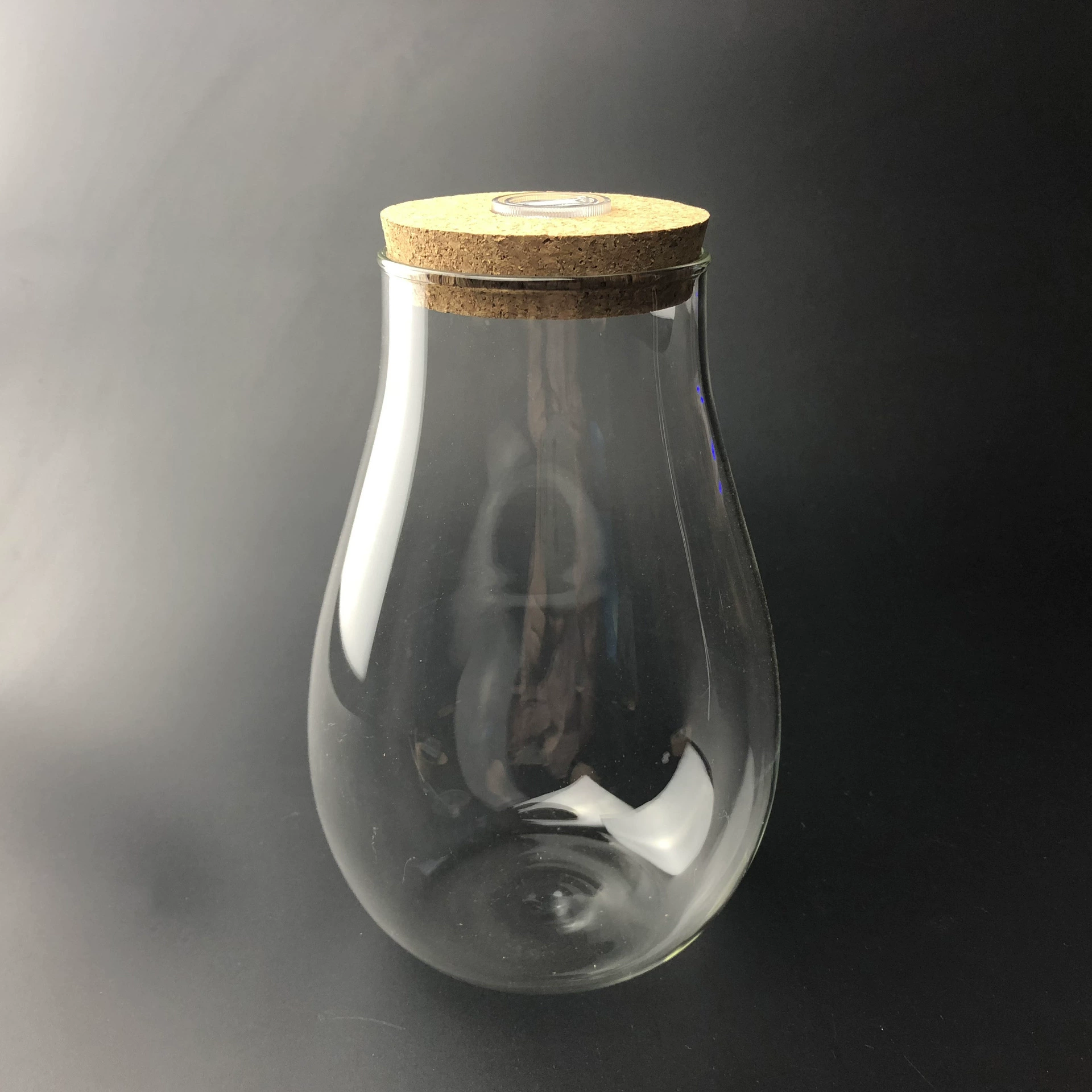 Контейнер для изготовления мха DIY стеклянная бутылка микропейзаж экологическая бутылка ваза с каплями воды пробковый контейнер для производства растений