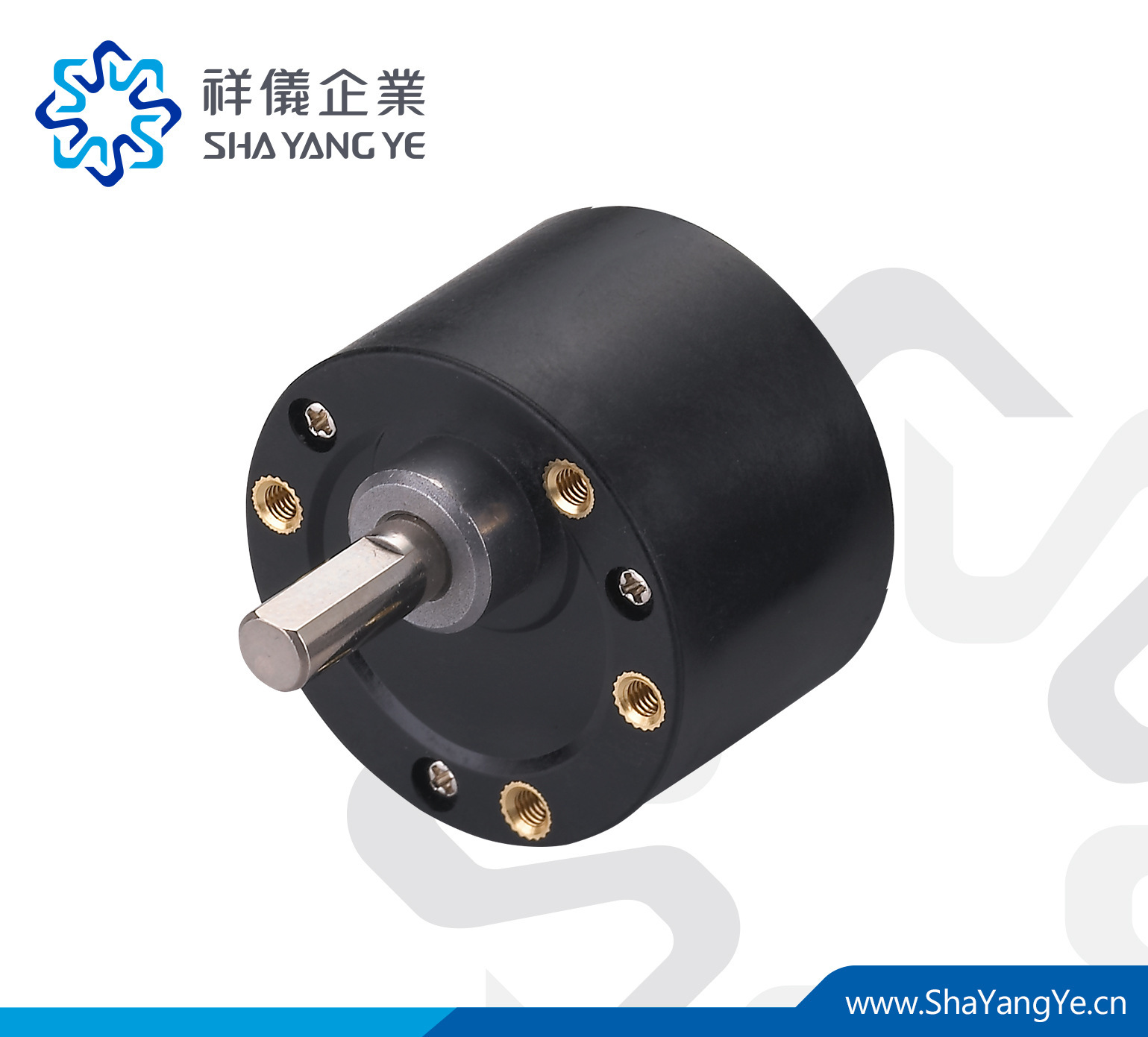 直徑37mm正齿轮 减速箱 微型减速机专用 SHAYANGYE 齿轮箱 RB37S