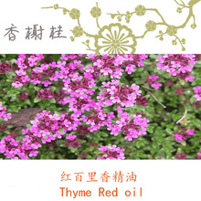 ӡ���M�ڼt�����㾫�� Thyme Red oil  �������η�����10ML��ӆ