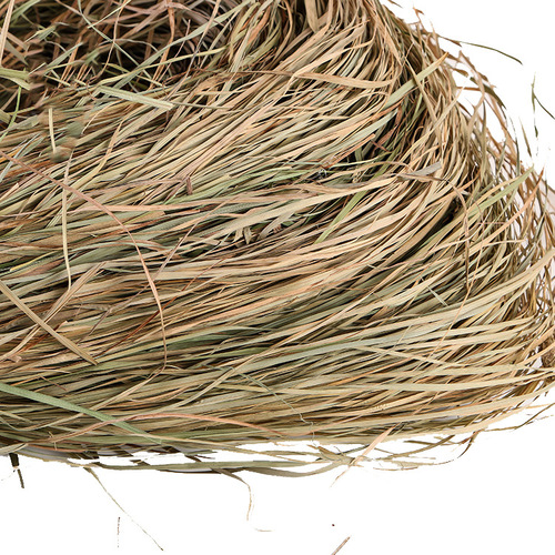 Northeastern Ura grass, Yanghu grass, aquatic grass, insole grass, large quantities of dried wild grass, handicraft raw materials wholesale props