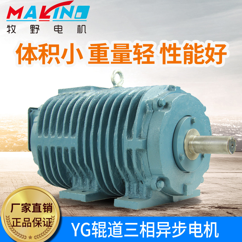 供應YGB、齒輪減速電機 YGB180L1-16鋼廠用輥道電機