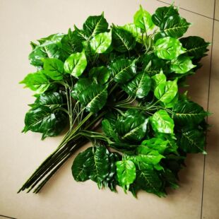 ������~������~�@���b٘�֦�������Ә��~����ֲ�������֦