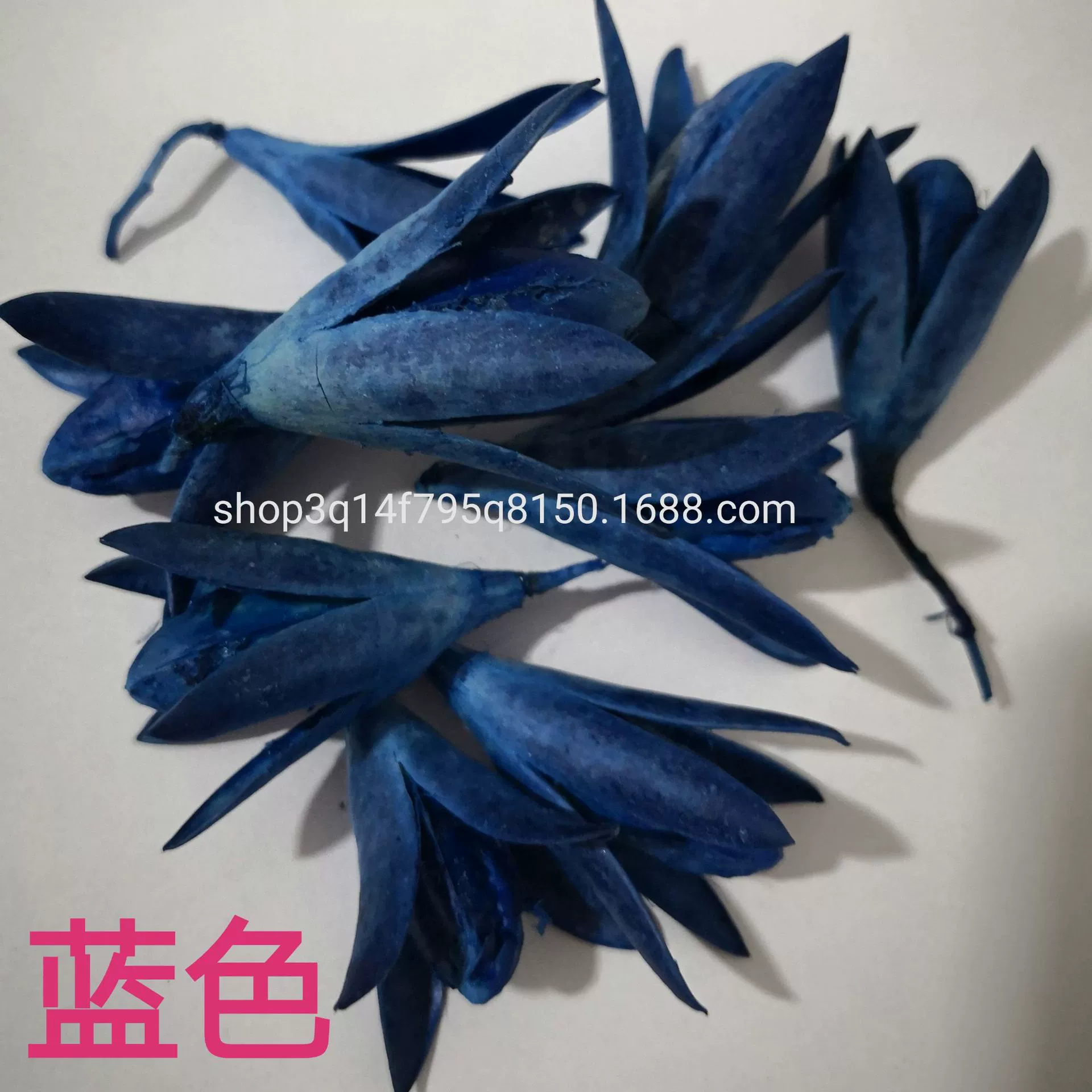 [Magnolia] Manufacturer supply naturally toon fruit shell Magnolia dried magnolia flower DIY handmade flower combination flower material