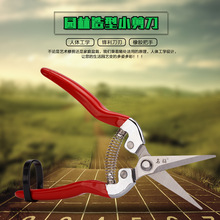 名钻稀果剪园艺剪刀花木修枝剪苗木果蔬采摘剪翘头剪桑剪桔剪采摘