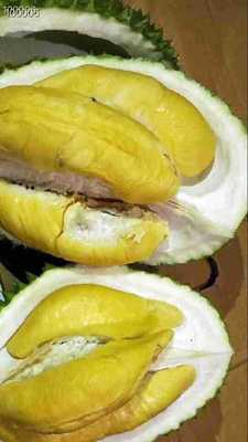 正宗马来西亚猫山王D197批发一件代发10KG|ru