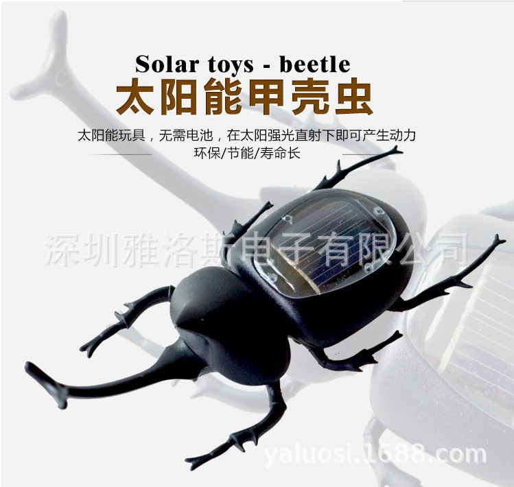 新品太阳能甲虫独角仙金龟子整蛊创意益智玩具科教启蒙厂家直销