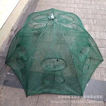 �Bֳ��С�д�̖ �ۯB���w�����w���W �r�\���~�O�W���l