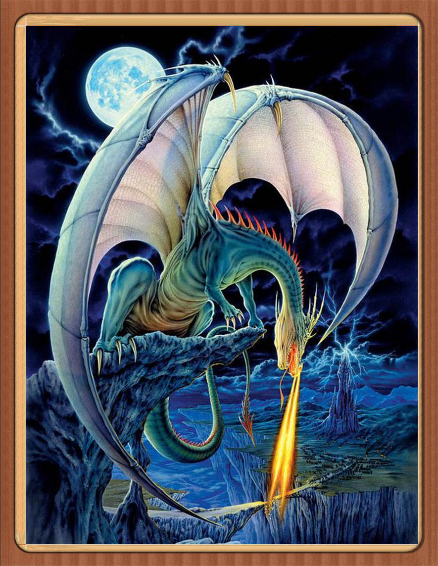 DW1004 夜晚和喷火龙 20x25_副本.jpg