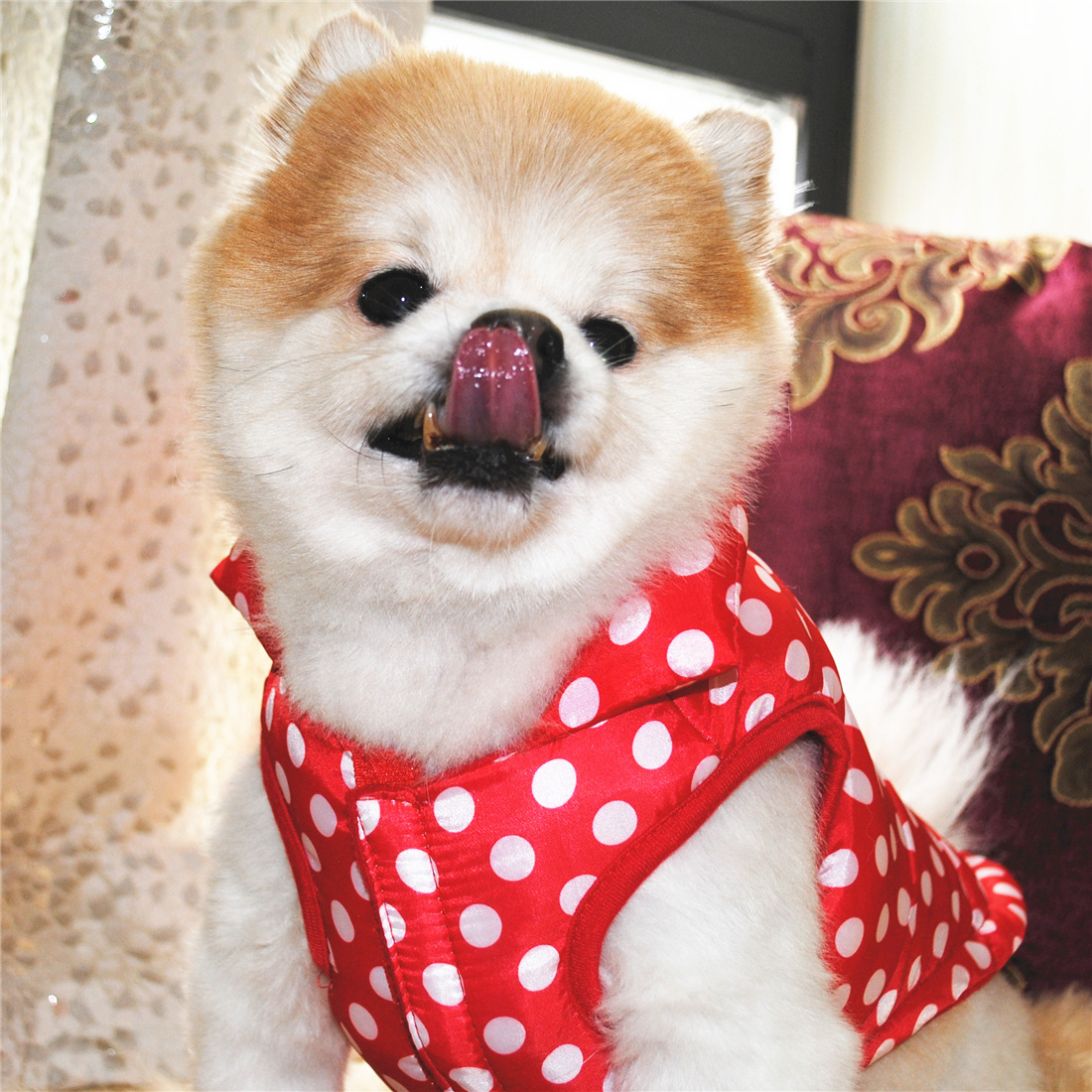 DSC_6084_副本 - 副本