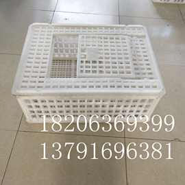 加厚鸡鸭鹅框鹅笼子纯原料鹅周转筐图片