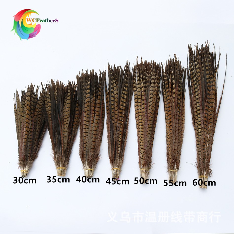 温册羽毛 厂家直销15-65cm天然山鸡尾七彩山鸡舞台演出剧组专用详情图3