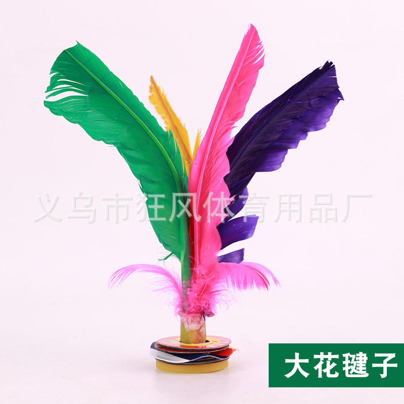 大花毽子.jpg