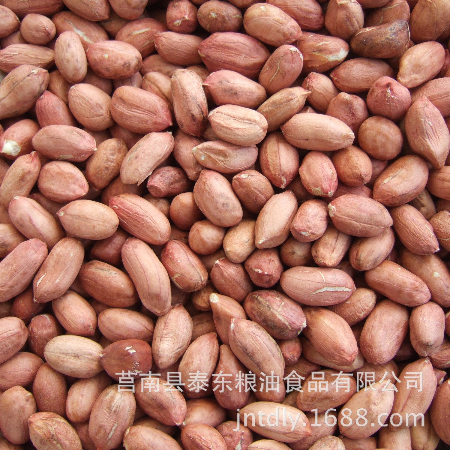 Peanuts wholesale,supply class a Peanuts Redskins Peanuts Manufacturer Shandong Peanut