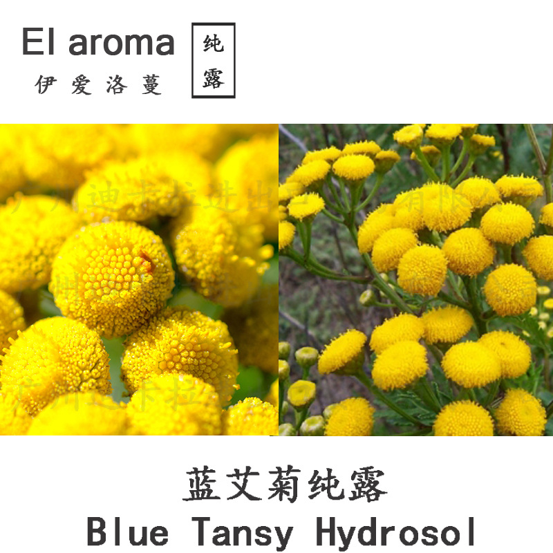 摩洛哥有机蓝艾菊纯露 Blue Tansy 植物花水 补水护肤 1KG起订